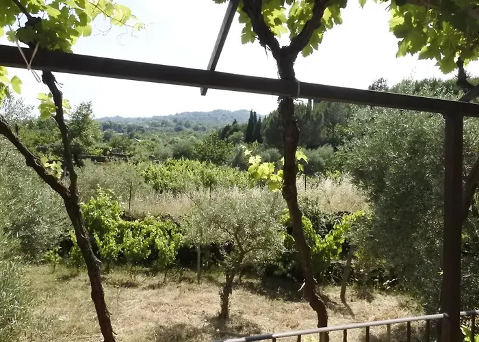 Etna Evergreen Casa Vacanze
