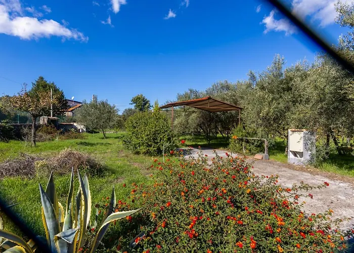 Vigna Dell'Etna