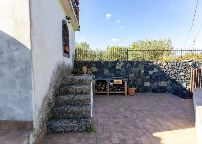 Vigna Dell'Etna